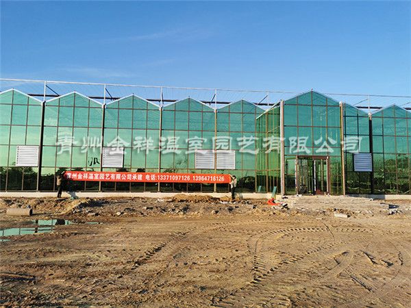 玻璃溫室大棚